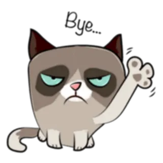 👋 Grumpy Cat кот, ворчливый, мем, животное, смешной, мультфильм telegram sticker