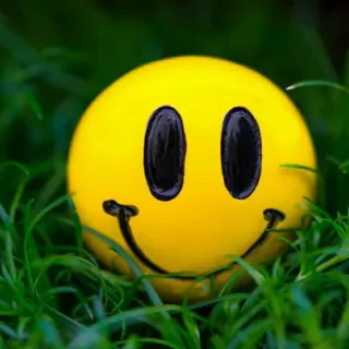 🙂 sorriso, feliz, emoji, amarelo, grama whatsapp sticker