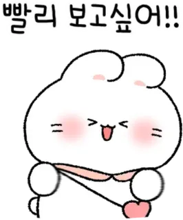 💬 빨리 보고싶어!! thỏ, hoạt hình, dễ thương, tình yêu, trái tim, màu hồng, động vật, kawaii telegram sticker