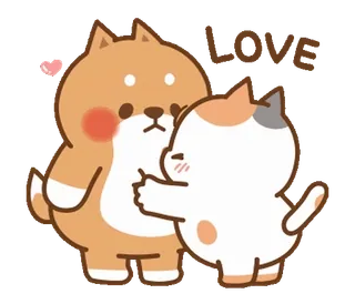 🐰 LOVE 고양이, 강아지, 사랑, 귀여운, 동물 whatsapp sticker