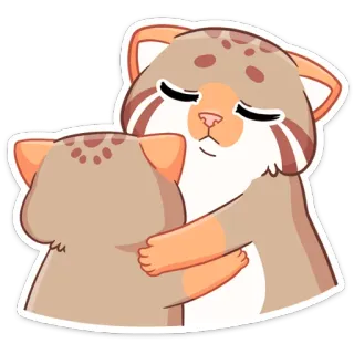 🤗 gato, abrazo, lindo, animal, cariñoso, amor, mimos telegram sticker