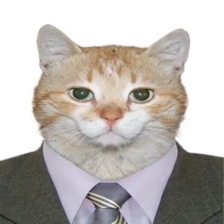 👨‍⚖️ 고양이, 정장, 넥타이, 동물, 비즈니스, 정장, 사무실 telegram sticker
