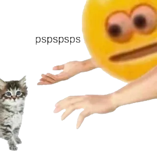 😶 кот, котёнок, мем, эмодзи, реакция whatsapp sticker