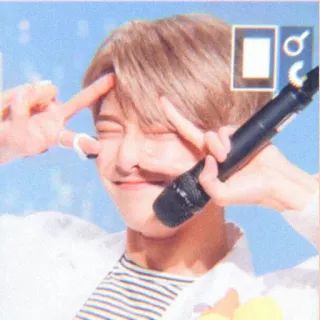 🌱 kpop, ไอดอล, ชูสองนิ้ว, ไมโครโฟน telegram sticker