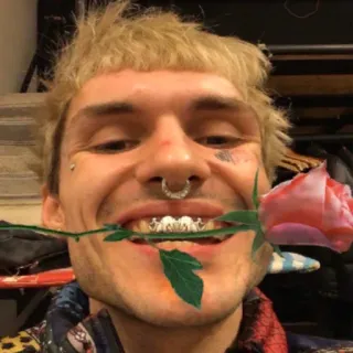 ❤️ homem, rosto, rosa, dentes, joias, sorriso telegram sticker