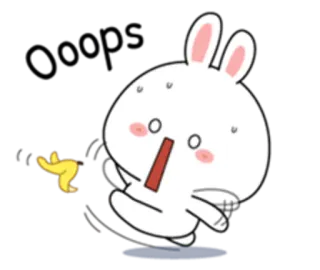 😐 thỏ, thỏ con, hoạt hình, động vật, nhân vật telegram sticker
