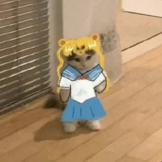 🐈 Sailor Moon gato, Sailor Moon, anime, desenho animado, adesivo, fofo telegram sticker