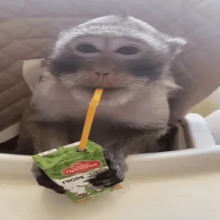🧃 Сады Придонья ПЮРЕ monkey, juice, beverage, animal, drinking, puree, baby food whatsapp sticker
