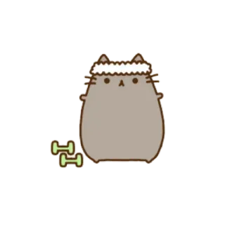 🐱 Pusheen kat, workout, oefening, gewichten, pusheen, fitness, sportschool telegram sticker