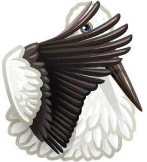 🙈 burung, pelikan, putih, hitam telegram sticker