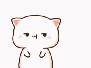😗 süß, Katze, Pfirsich, schläfrig, Kätzchen whatsapp sticker