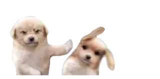 💔 dog, puppy, meme, animal, cute, funny telegram sticker