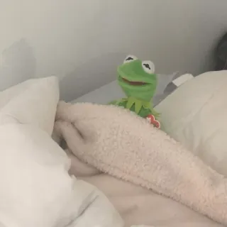😐 Kermit the Frog Kermit, frog, muppet, puppet, plush, toy, bed telegram sticker