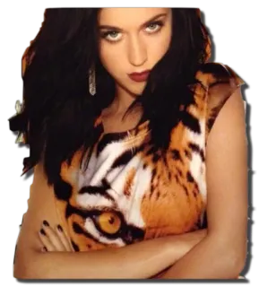 🐯 Katy Perry ケイティ・ペリー, 歌手, セレブ, ポップスター, ポートレート telegram sticker
