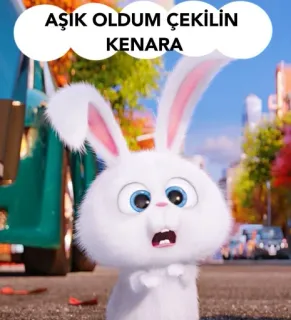 😍 AŞIK OLDUM ÇEKİLİN KENARA 토끼, 만화, 동물, 흰색, 귀여운, 애니메이션, 바니 whatsapp sticker