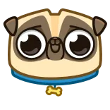 😉 dog, pug, animal, cute, pet, sticker whatsapp sticker