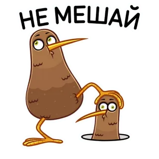 😤 НЕ МЕШАЙ киви (птица), мультфильм, смешной, милый, не беспокоить, птицы, животное, юмор telegram sticker