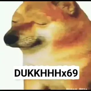 🙂 doge DUKKHHHx69 doge, meme, internet telegram sticker