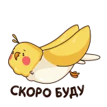 👌 NOOT NOOT птица, корелла, летящий, милый, желтый, мультфильм telegram sticker