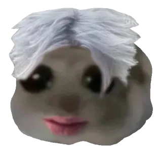 👩‍🦳 햄스터, 동물, 밈, 웃긴, 귀여운, 애완동물, 설치류 whatsapp sticker