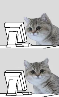 😑 猫, コンピュータ, ミーム, 動物, インターネット, 面白い telegram sticker