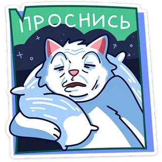 🥱 ПРОСНИСЬ gato, dormilón, despertar, texto ruso, almohada, lindo whatsapp sticker