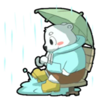 🌧 Bär, Regenschirm, Regen, süß, Tier, Cartoon telegram sticker