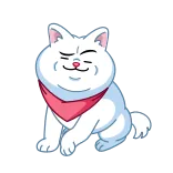 ❓ cat, question mark, cute, cartoon, animal, white cat telegram sticker