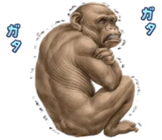 🐵 ガタ monyet, kera, binatang, teks jepang telegram sticker