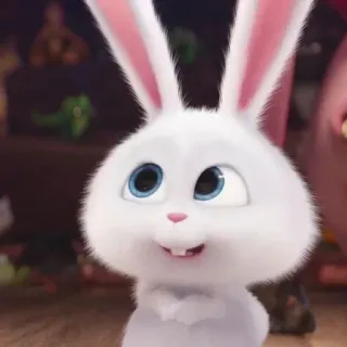 🐰 Snowball The Secret Life of Pets coniglio, coniglietto, cartone animato, animale, carino, animale domestico, bianco whatsapp sticker