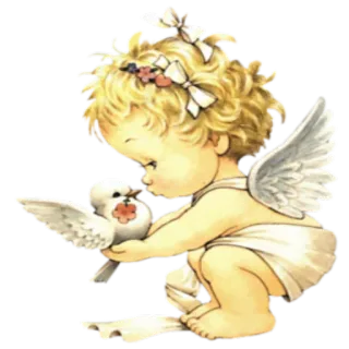 🕊 anjo, querubim, pomba, asas, fofo, bebê, flores telegram sticker
