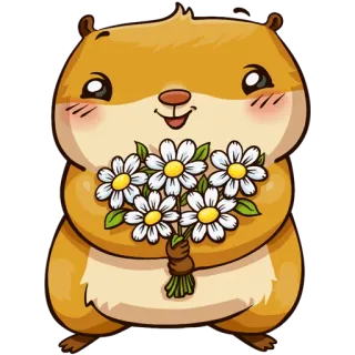 🐹 Hamster, Blumen, Süß, Tier, Strauß, Gänseblümchen telegram sticker