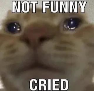 🥲 NOT FUNNY
CRIED 고양이, 울음, 밈, 슬픈, 웃긴 telegram sticker