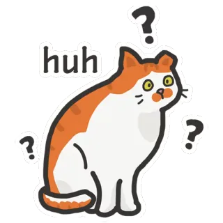 ❓ huh gato, ¿eh?, pregunta, confundido, naranja, blanco, animal telegram sticker