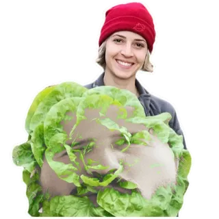 🥒 woman, lettuce, red hat, smile, person, food telegram sticker