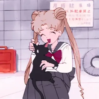 🤗 Sailor Moon 月極 駐車場 anime, cat, cute, cartoon, kawaii, sailor moon telegram sticker