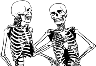 😁 szkielet, kości, anatomia, humor, czaszka telegram sticker