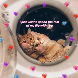 ❤️ i just wanna spend the rest of my life with you chats, amour, mignon, affection, animaux, romance telegram sticker
