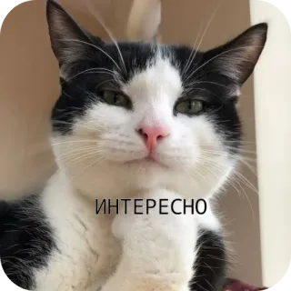 Больше стиков тут: @stikery4 whatsapp stickers