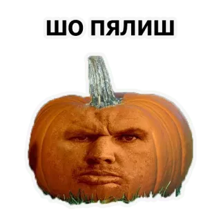 🎃 ШО ПЯЛИШ pumpkin, angry, face, funny telegram sticker