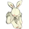 ๐คฉ