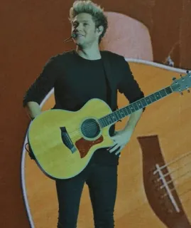 🥀 Niall Horan Niall Horan, singer, musician, guitar, performance, one direction telegram sticker