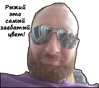 🧔 hombre, barba, gafas de sol, selfie, retrato, cara telegram sticker