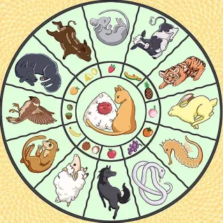 🍎 zodiac, chinese zodiac, animals, cat, food, horoscope, circle telegram sticker