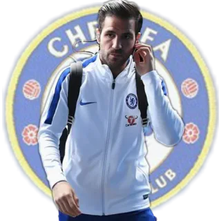 😏 CHELSEA CLUB Chelsea, futebol, futebol, esportes, clube, Fàbregas telegram sticker