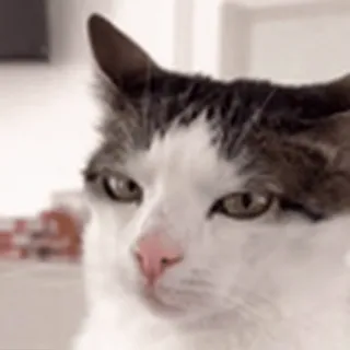 😒
