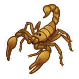 🦂