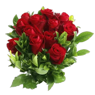 💐 Rosen, Blumen, Blumenstrauß, Rote Rosen, Blumenmuster, Natur, Pflanzen telegram sticker