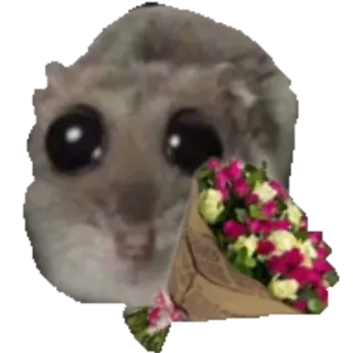 💐 sugar glider sugar glider, flowers, bouquet, cute, big eyes, animal, gift telegram sticker