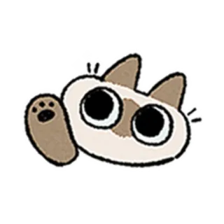 😺 gato, animal, adesivo, fofo, siamês, acenando telegram sticker